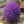 Load image into Gallery viewer, Calico Kitten Toque Knitting Pattern
