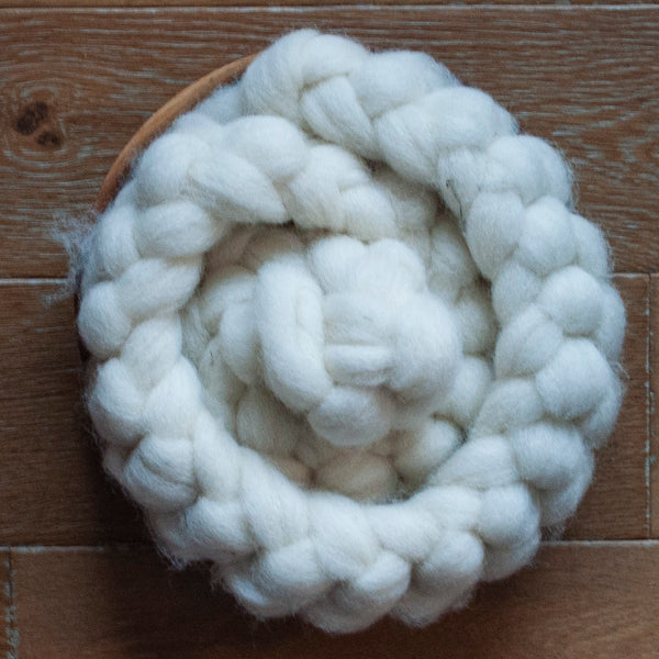 100% Vancouver Island North Country Cheviot Pindrafted Roving, 100 grams per bump